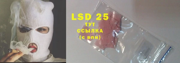 гашик Няндома